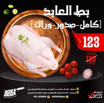 بط العابد