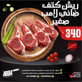 ريش كتف ضانى