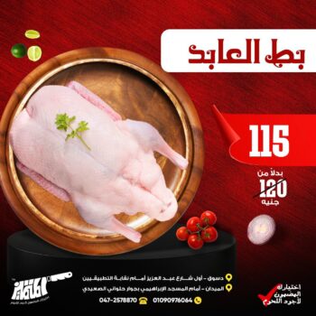 بط العابد