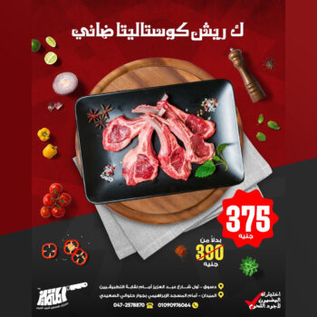 ريش كوستاليتا ضانى