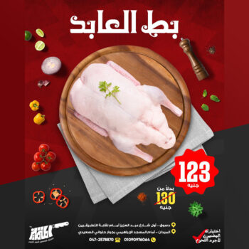 بط العابد
