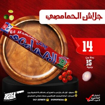 جلاش الحمامصى