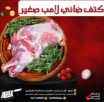 كتف ضاني لامب صغير